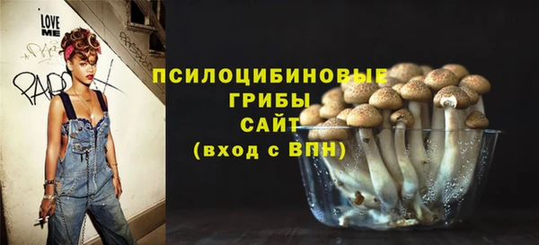 соль ск Нея