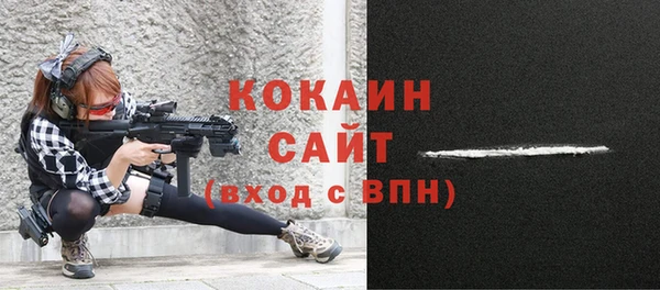 соль ск Нея