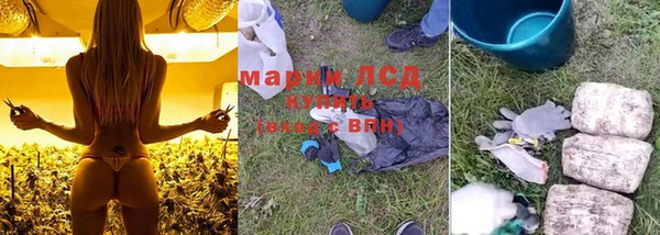 крисы Нефтекумск