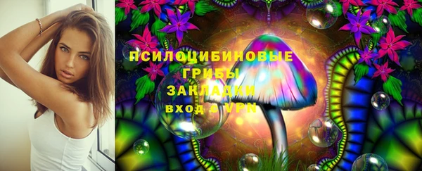 соль ск Нея