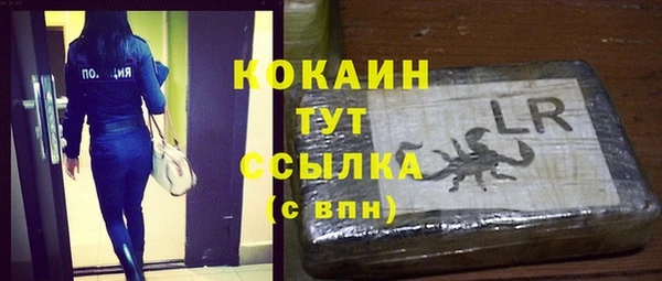 соль ск Нея
