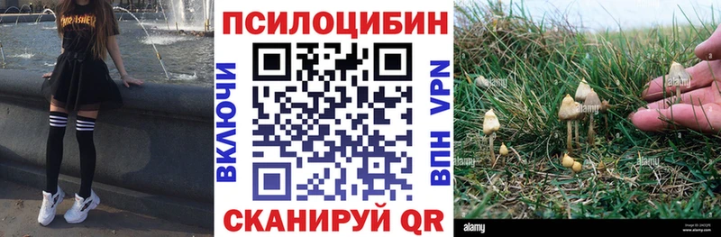 hydra ТОР  Сорск  Галлюциногенные грибы Psilocybine cubensis 